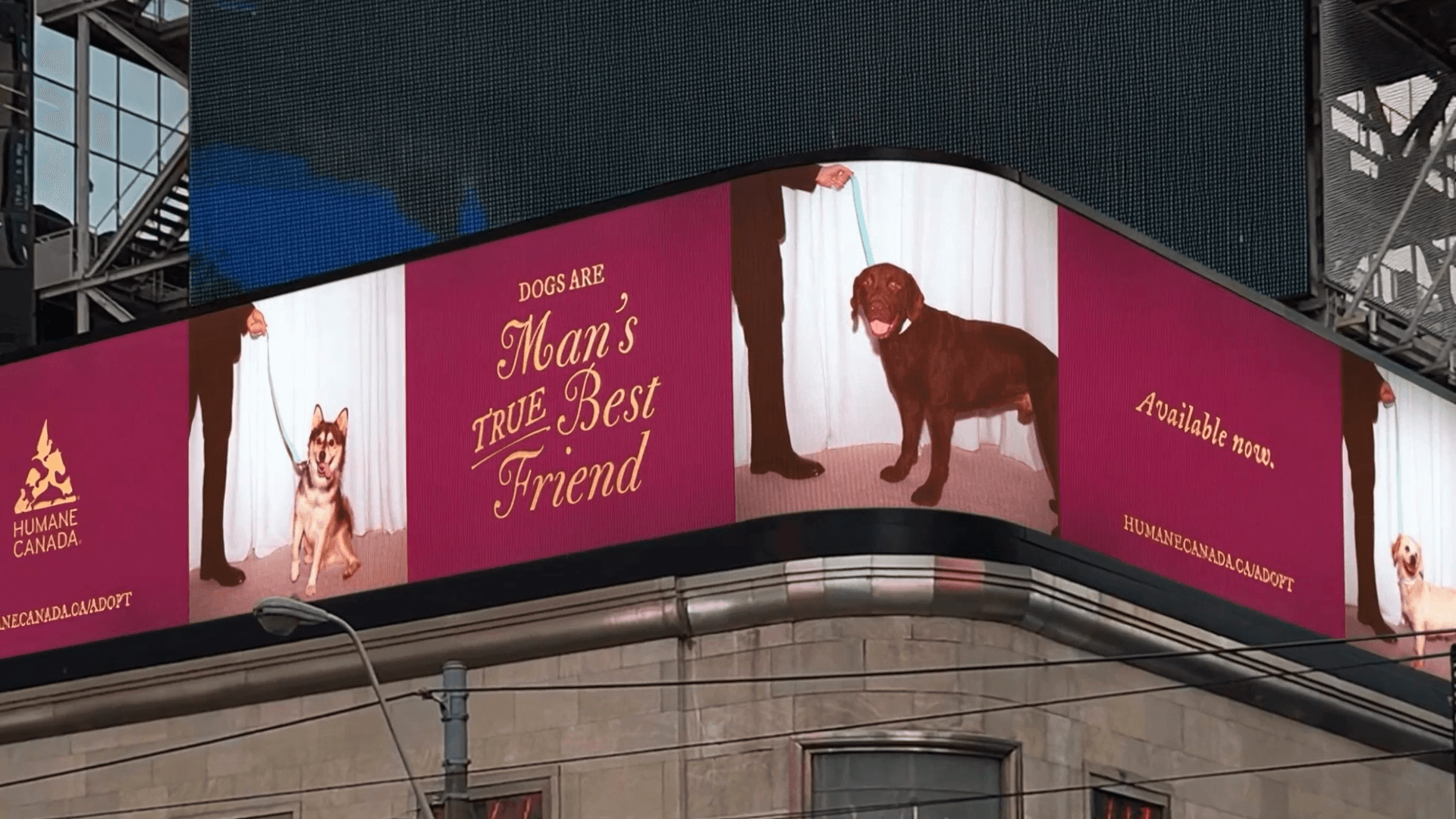 Humane Canada — “Man’s True Best Friend” awareness campaign